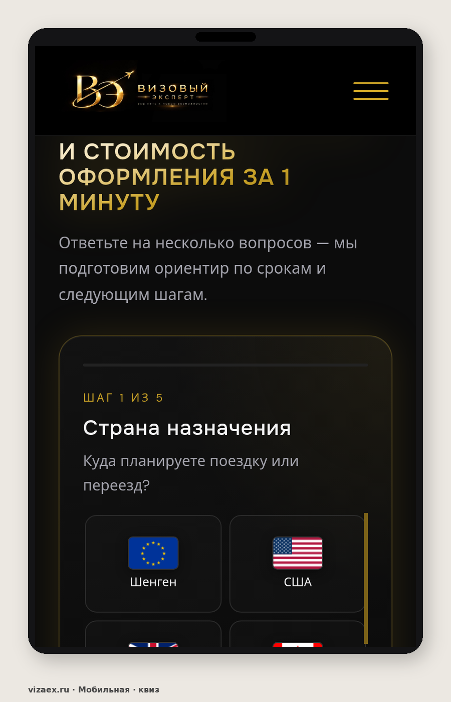 Мобильный квиз Vizaex